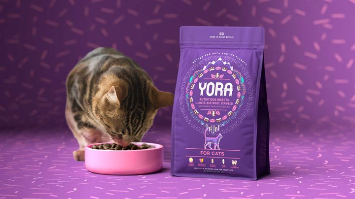 We.pet Yora Blog.jpg